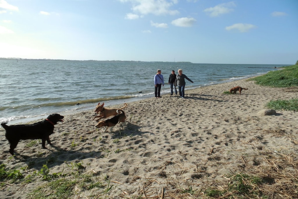 112582-Niet-getagd