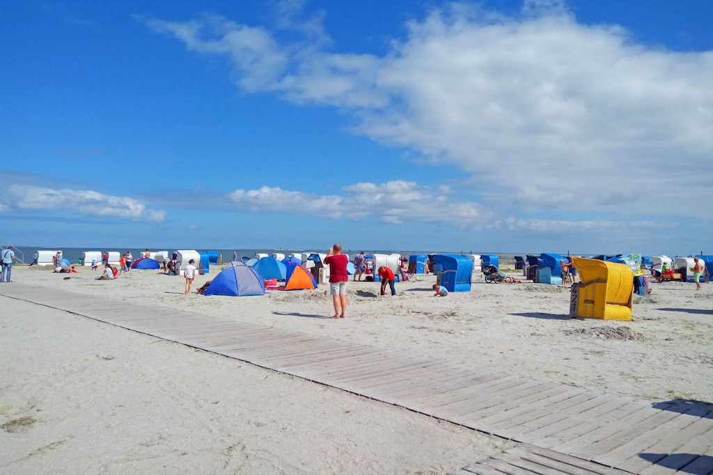 216494-Niet-getagd