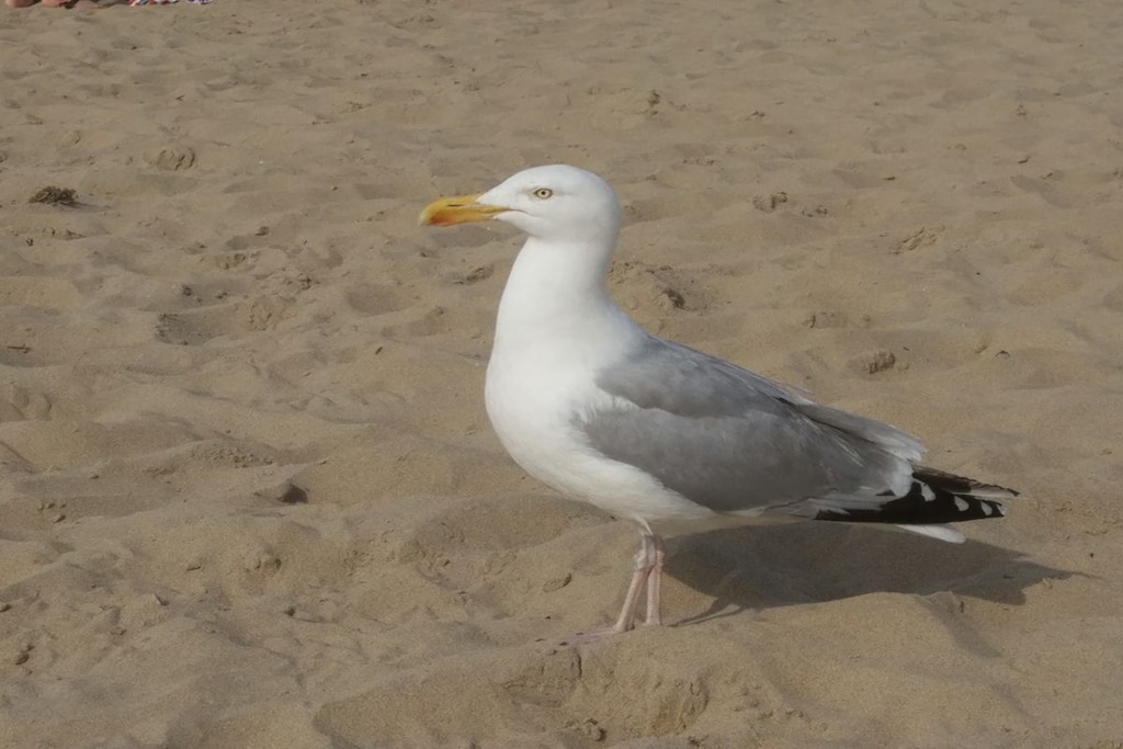235675-Niet-getagd