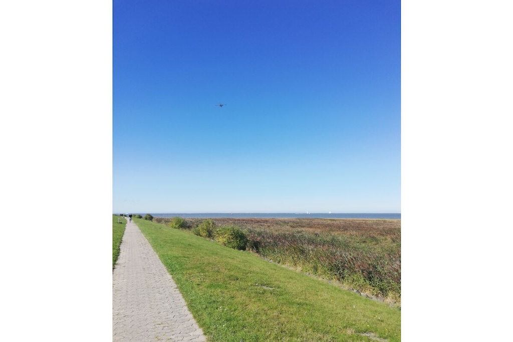 311003-Niet-getagd