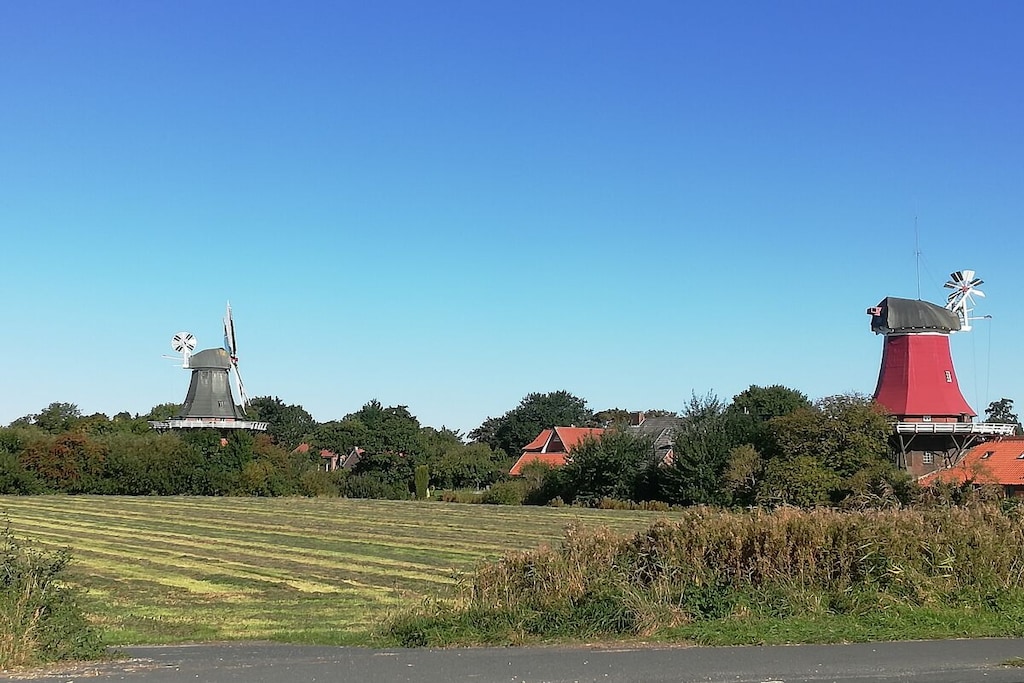 311003-Niet-getagd