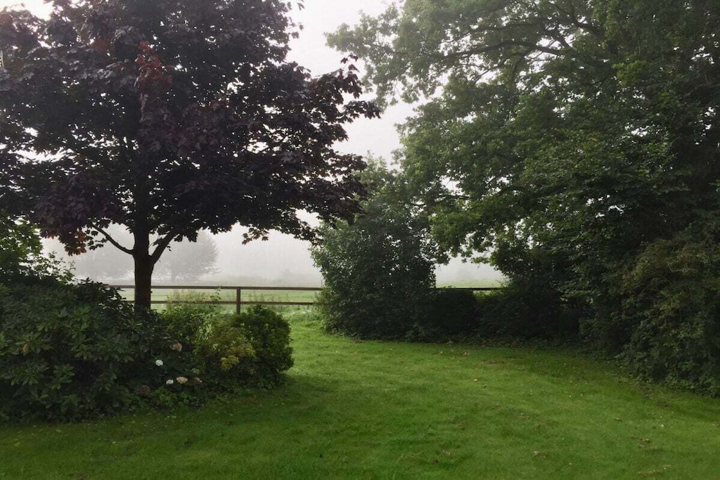 316903-Niet-getagd