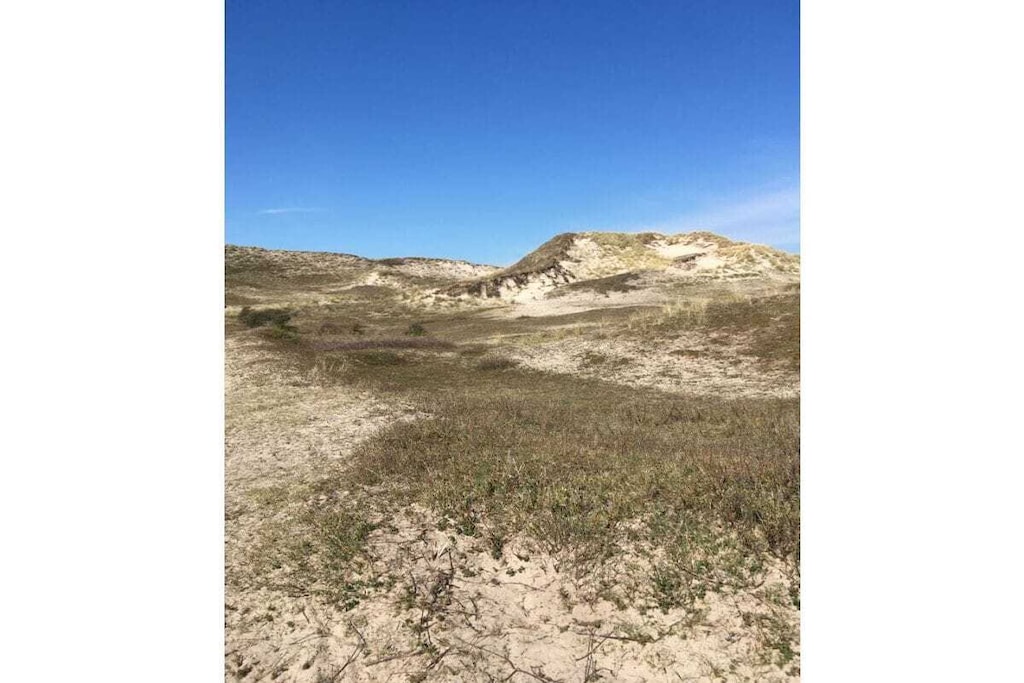 344459-Niet-getagd