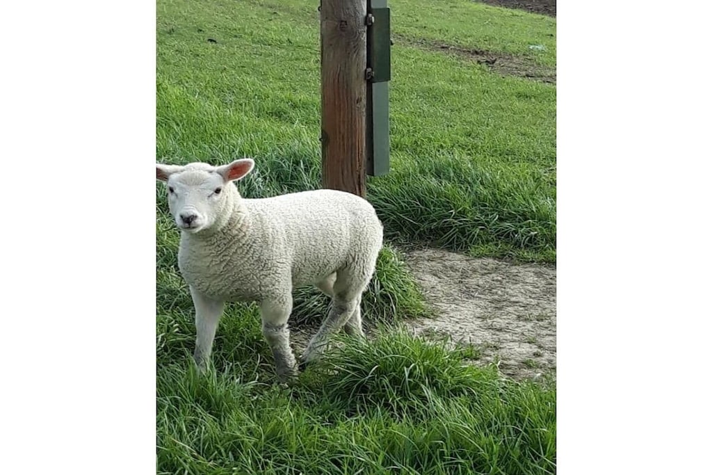 352672-Niet-getagd