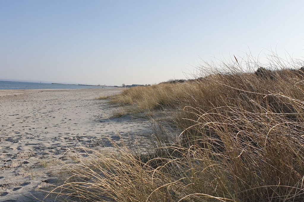 395876-Niet-getagd