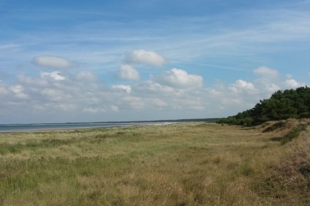 482866 - Niet-getagd