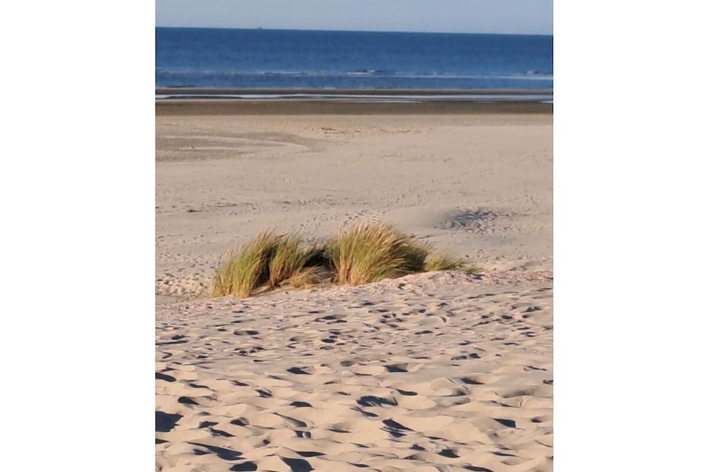 492472-Niet-getagd