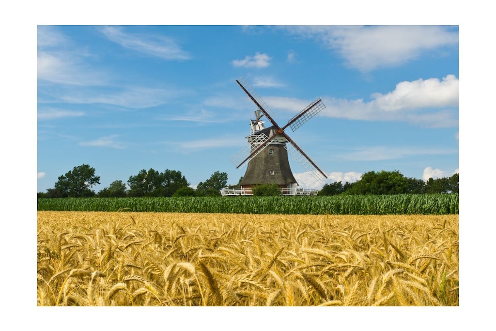 561676-Niet-getagd