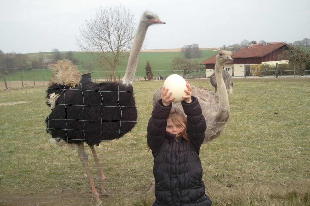 365 - Niet-getagd