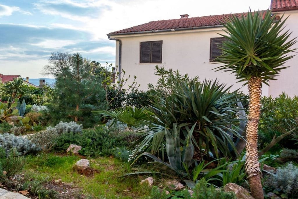 80887-Nicht zugeordnet