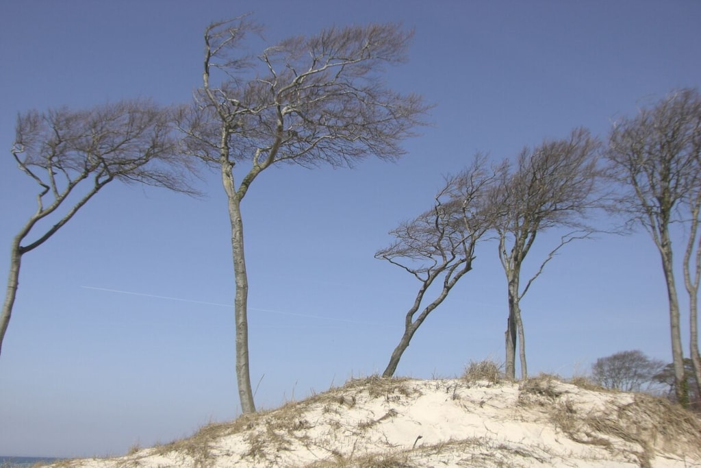 482870 - Niet-getagd