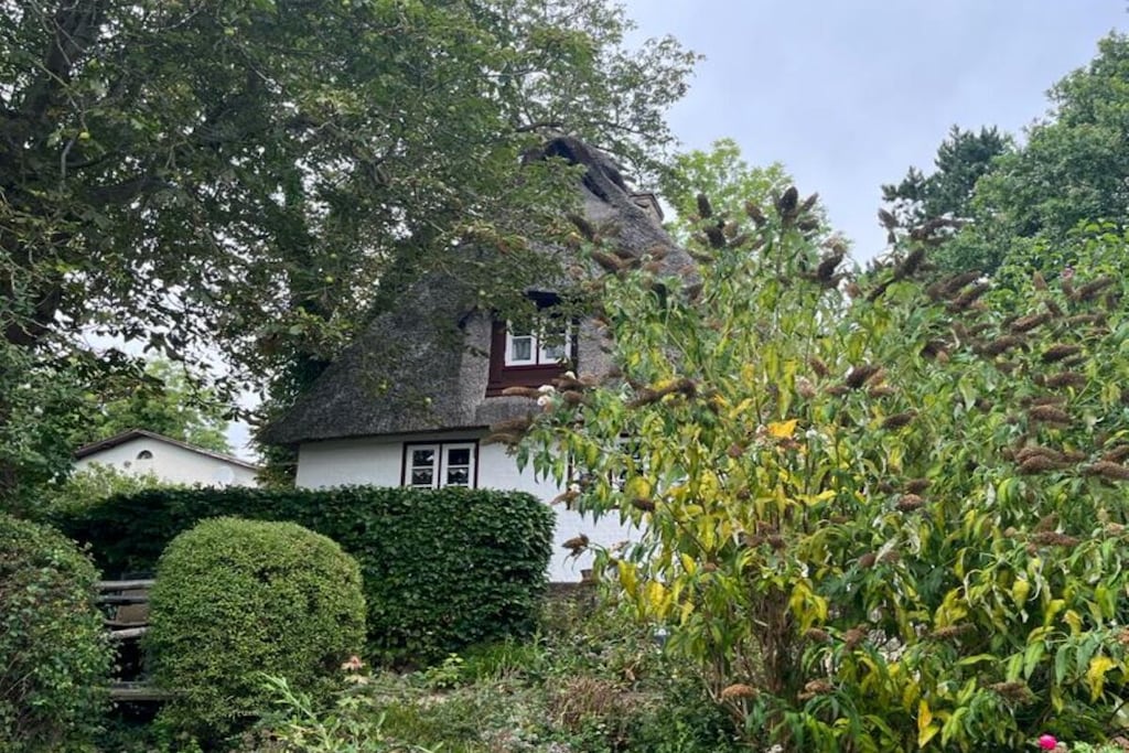 264548-Niet-getagd