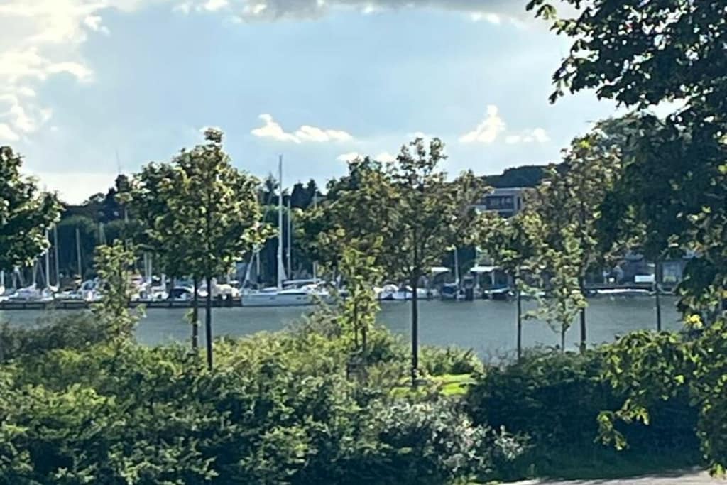 434099-Niet-getagd