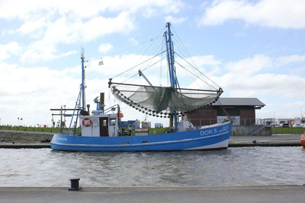 73319-Niet-getagd