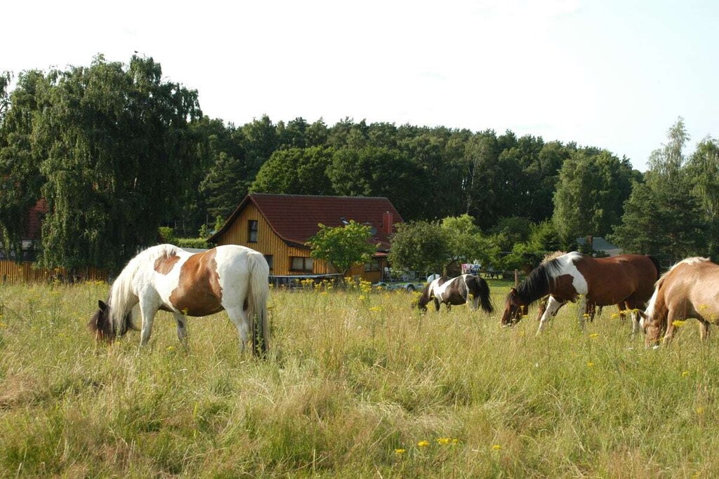 168656-Nicht zugeordnet