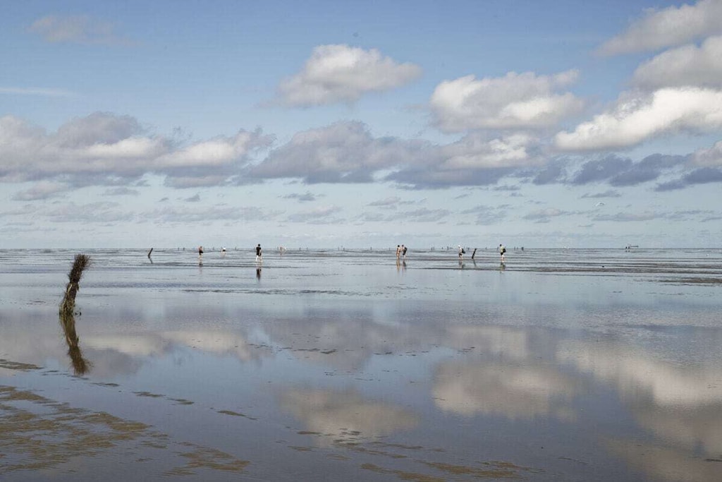 295951-Nicht zugeordnet