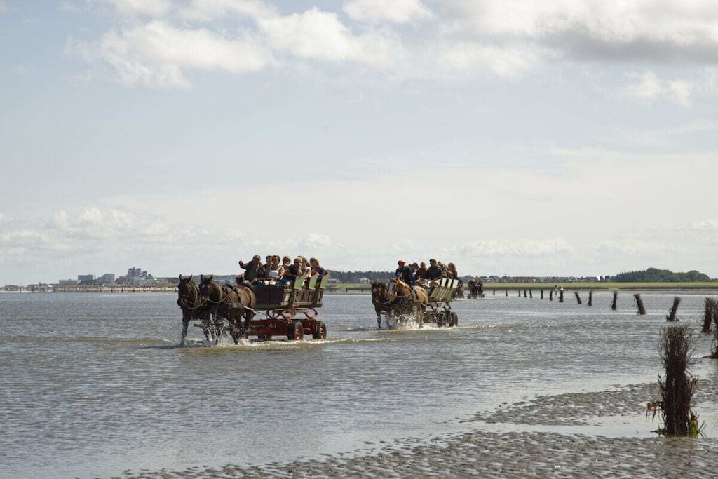 295951-Nicht zugeordnet