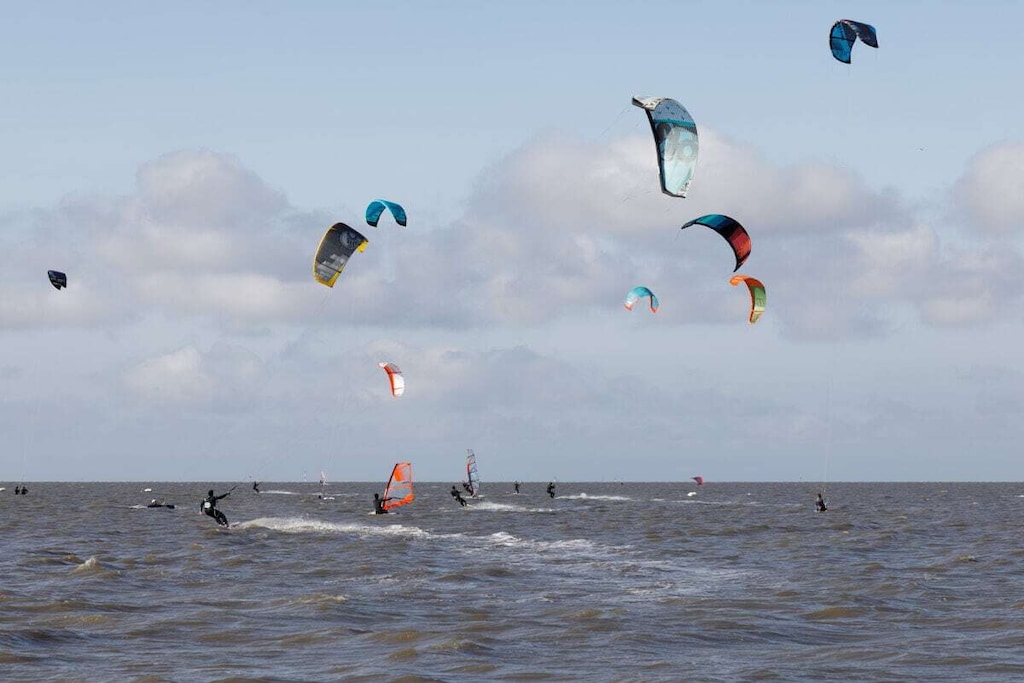 295951-Nicht zugeordnet