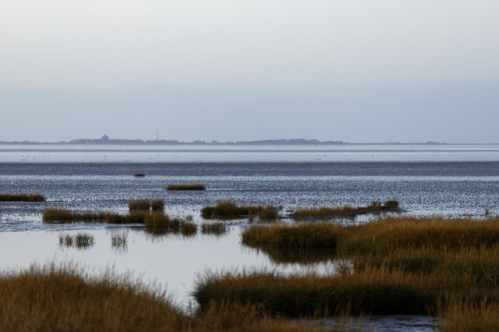 295951-Nicht zugeordnet