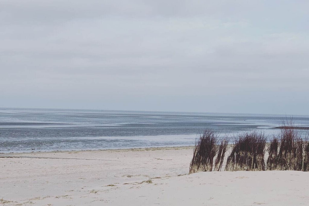 295951-Nicht zugeordnet