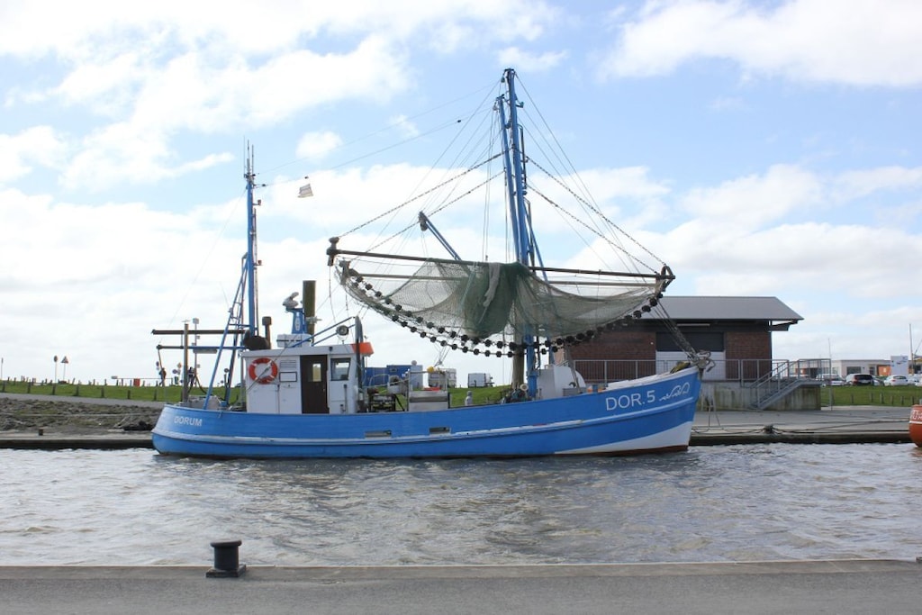 73333-Niet-getagd