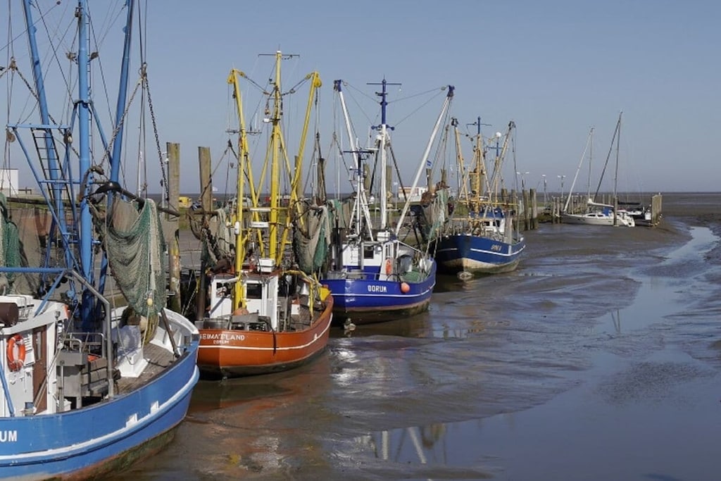 435546-Niet-getagd