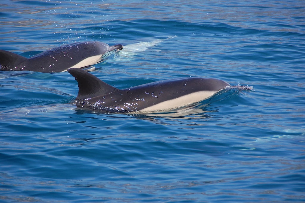 212098-Nicht zugeordnet