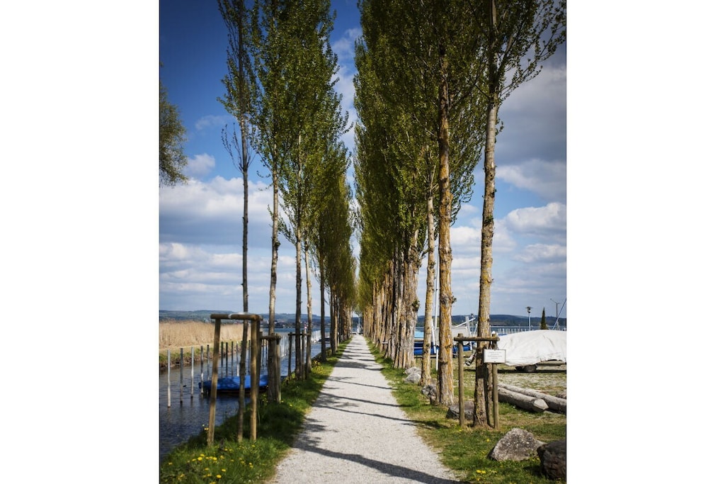 82487-Nicht zugeordnet