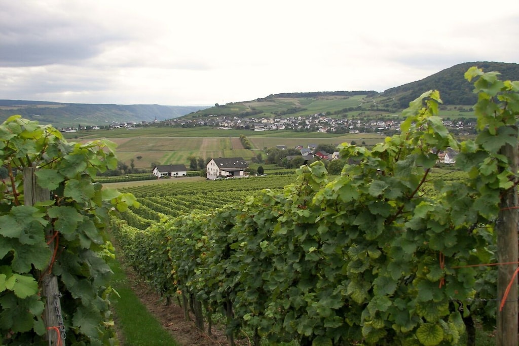 You'll be staying at our holiday winery, nestled in a beautiful south-facing location amidst the vineyards. From the balconies of the sunny apartments, you can enjoy a unique view of the characteristic Moselle landscape.
You'll feel right at home in our welcoming, child-friendly atmosphere. The beds are made up and plenty of towels are provided. Visit us and satisfy your longing for a holiday at the source of wine. You are welcome to bring your pet with you upon request.
Clicking on the photos will display their titles.