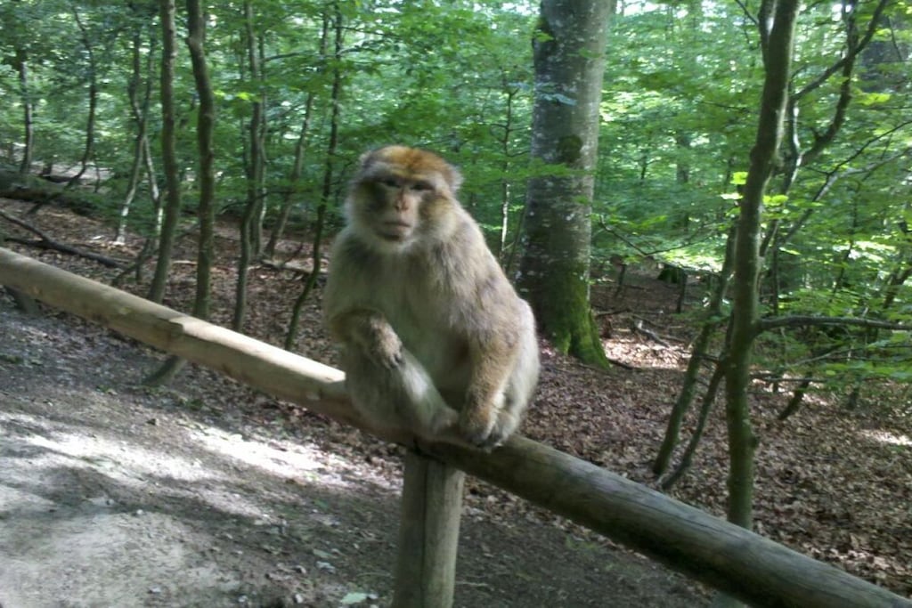 142261-Nicht zugeordnet