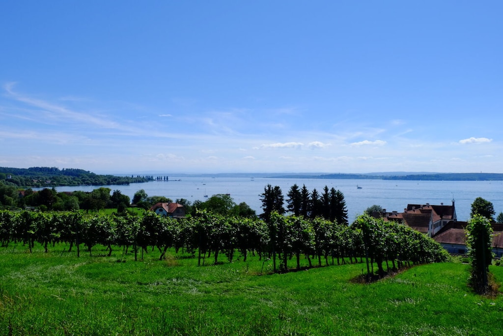 142261-Nicht zugeordnet