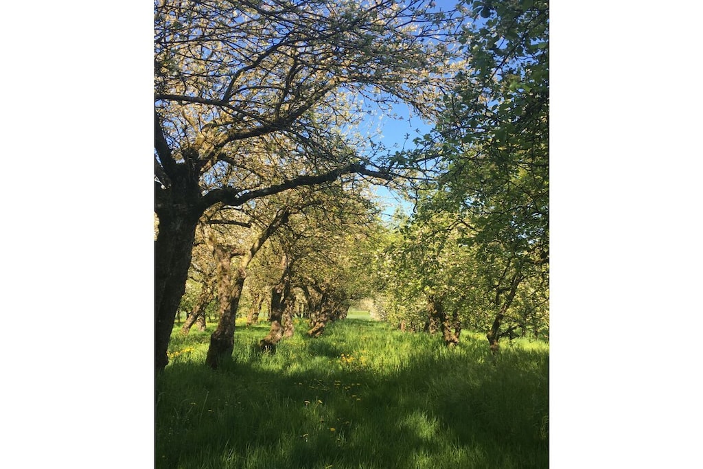 195515-Nicht zugeordnet