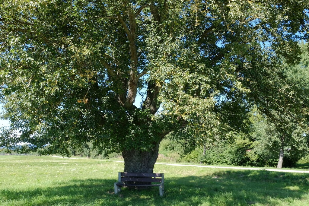 195515-Nicht zugeordnet