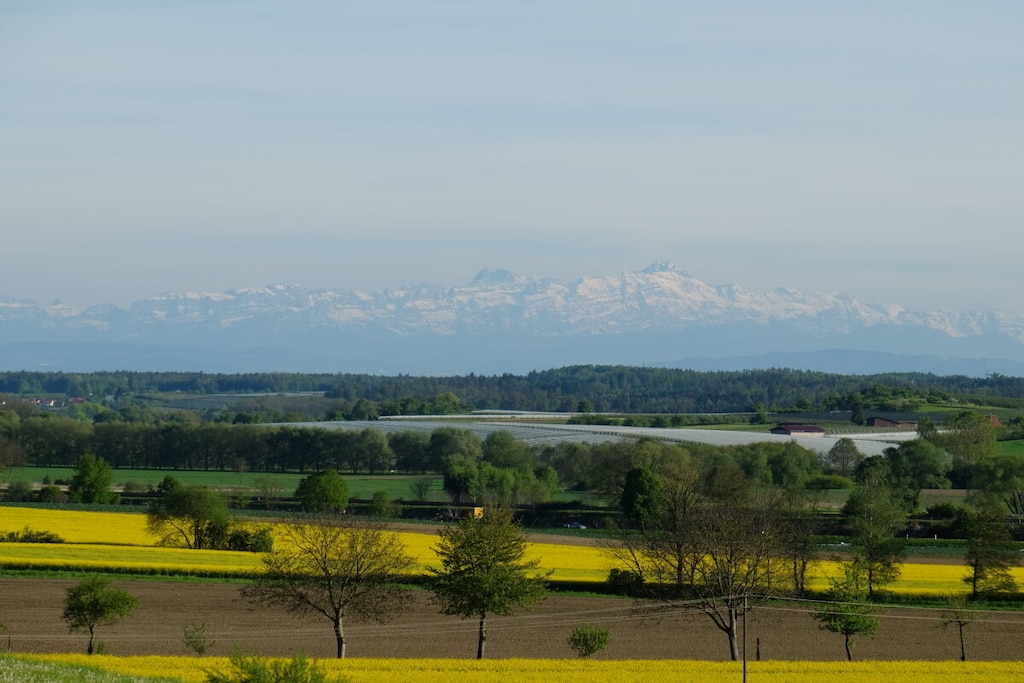195515-Nicht zugeordnet