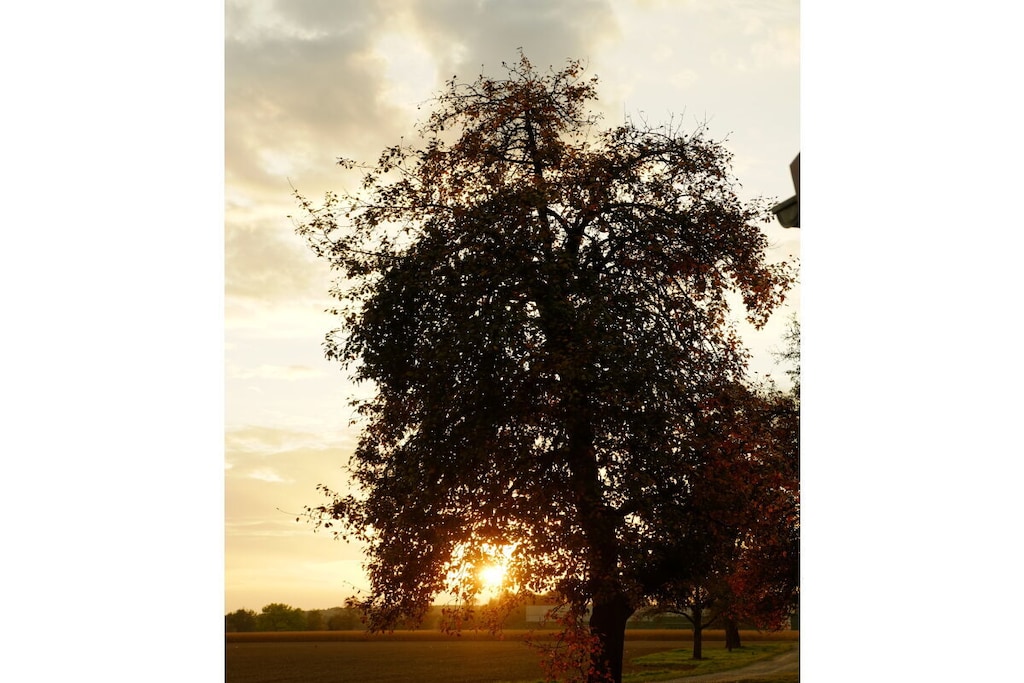 197087-Nicht zugeordnet