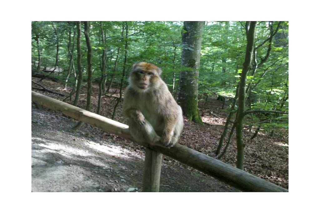 263793-Nicht zugeordnet