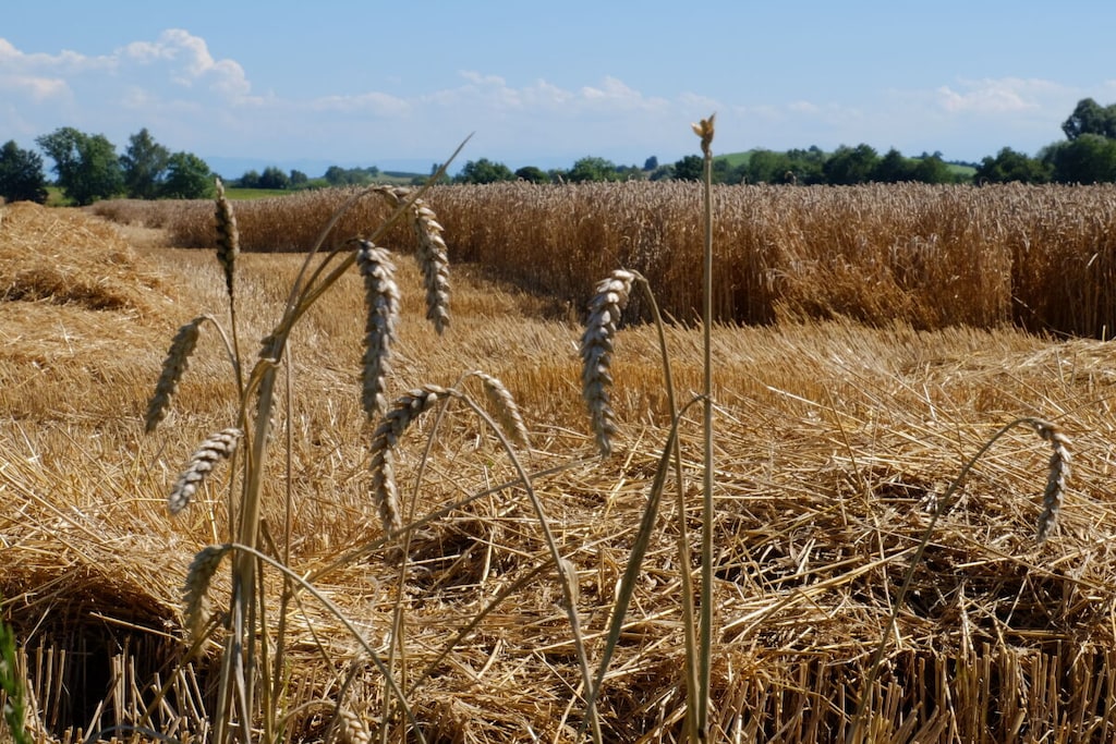 263793-Nicht zugeordnet