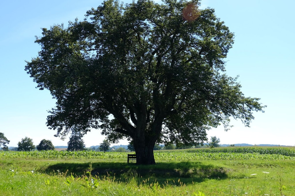 263793-Nicht zugeordnet