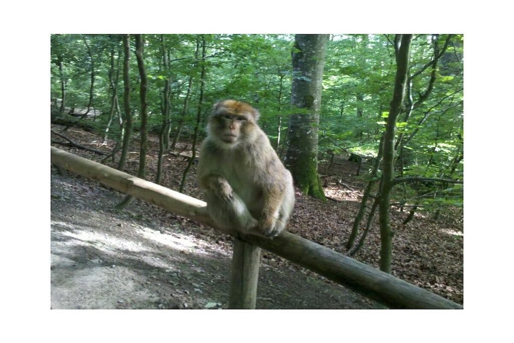 341613-Nicht zugeordnet