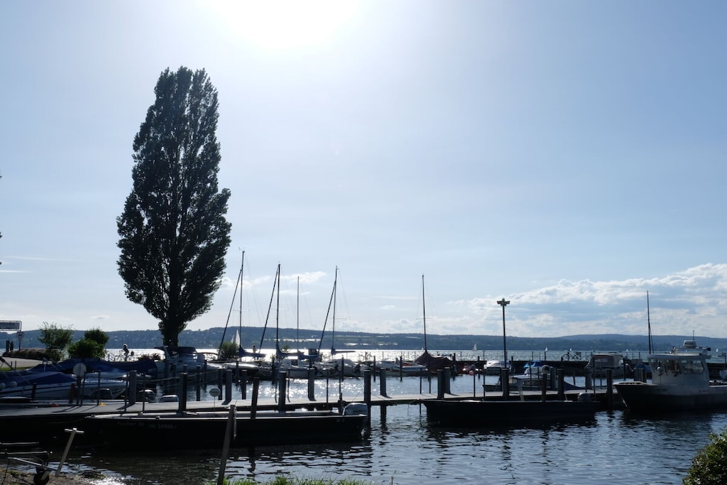 341613-Nicht zugeordnet