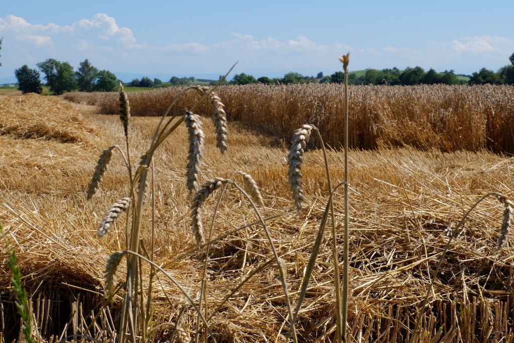341613-Nicht zugeordnet