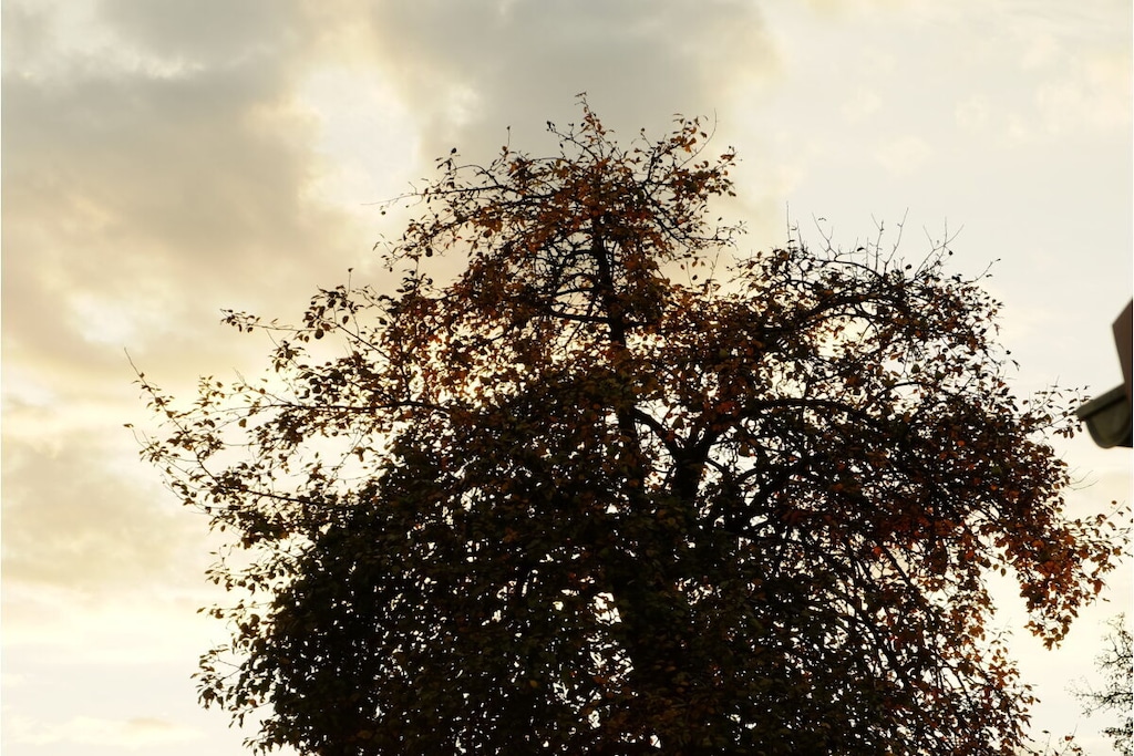 341613-Nicht zugeordnet