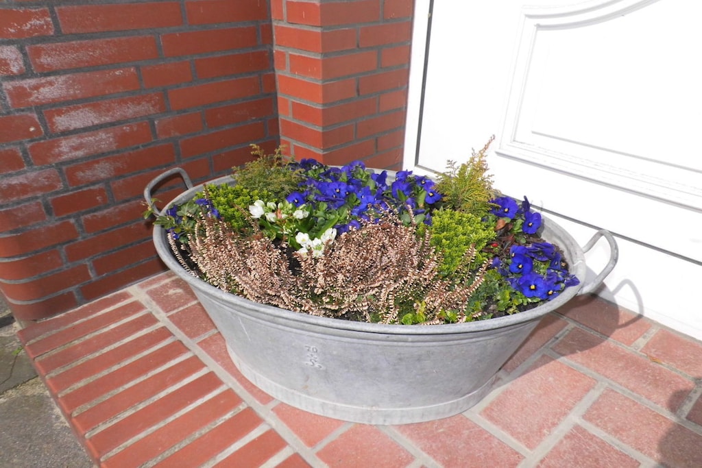 256649-Nicht zugeordnet