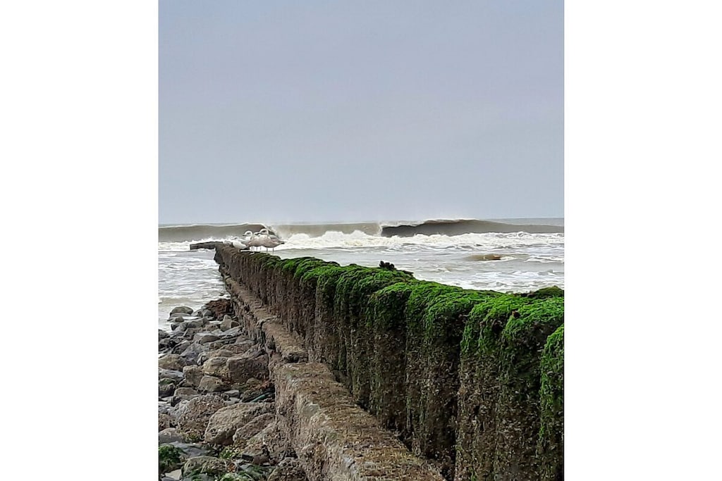 256649-Nicht zugeordnet