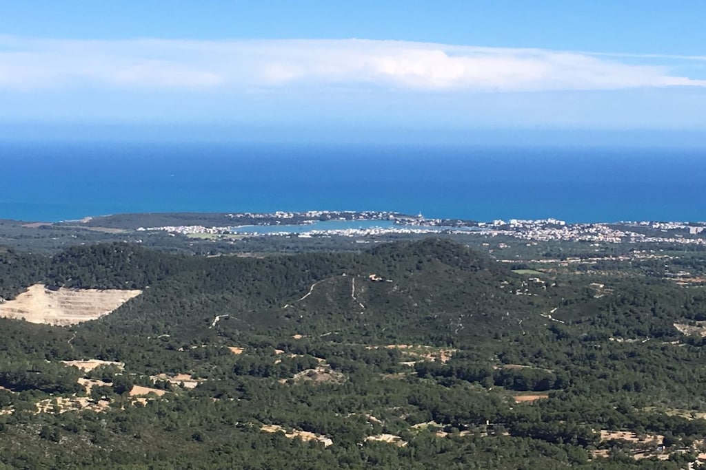 271155-Nicht zugeordnet