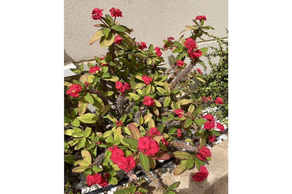 515873-Nicht zugeordnet