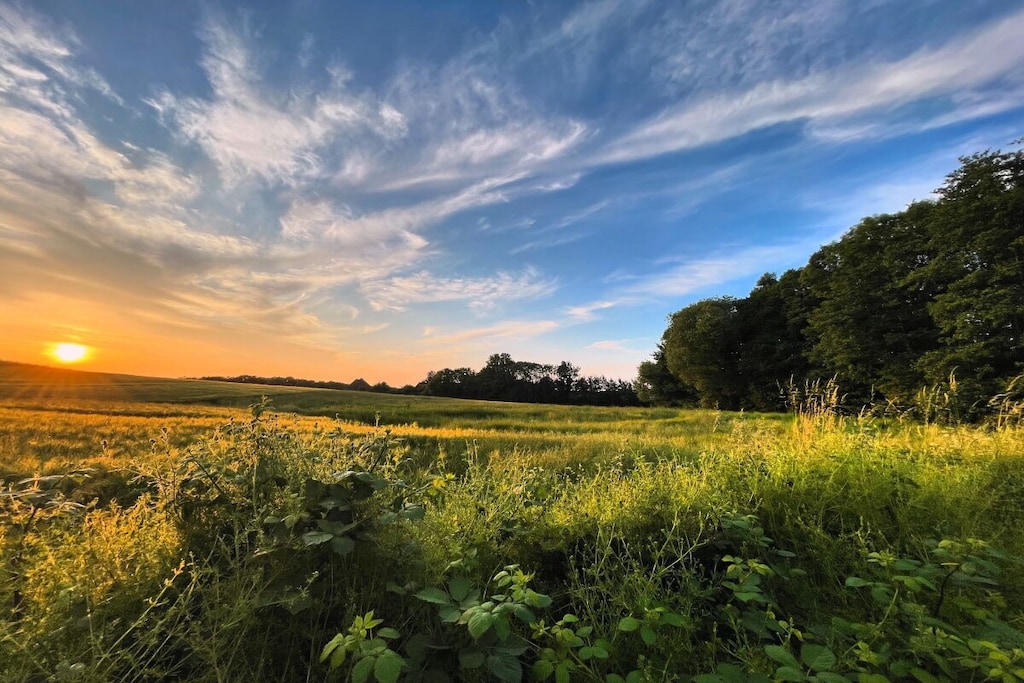 554993-Nicht zugeordnet