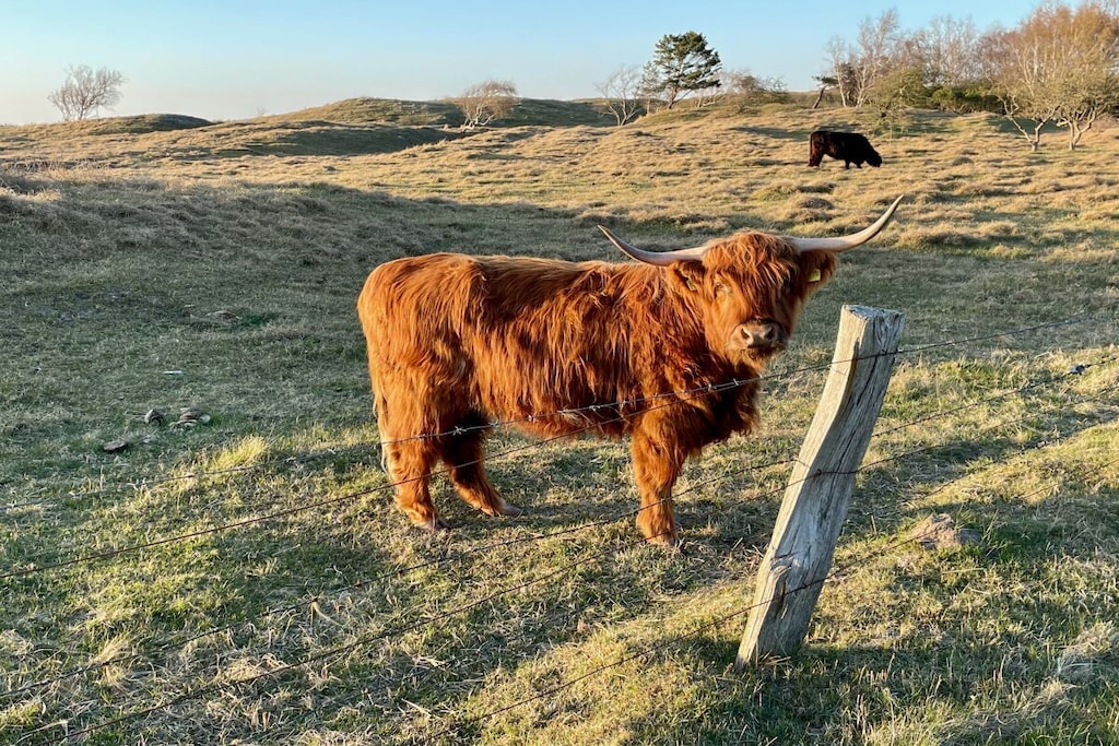 554993-Nicht zugeordnet