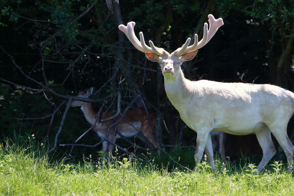 554993-Nicht zugeordnet