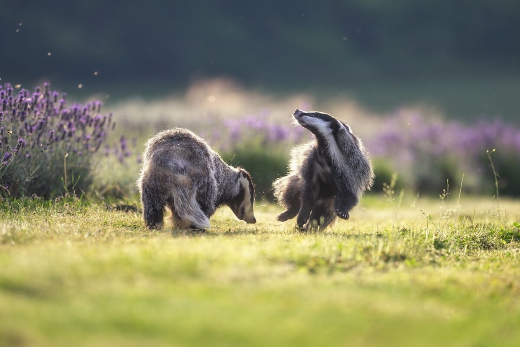554993-Nicht zugeordnet